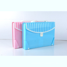 Variety of cute organ bag